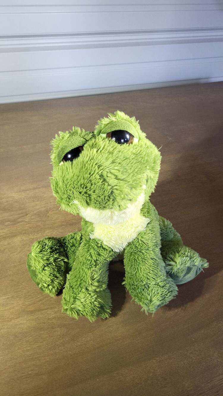 Aurora Dreamy Eyes Fantabulous Green Frog Shaggy Plush 12"
